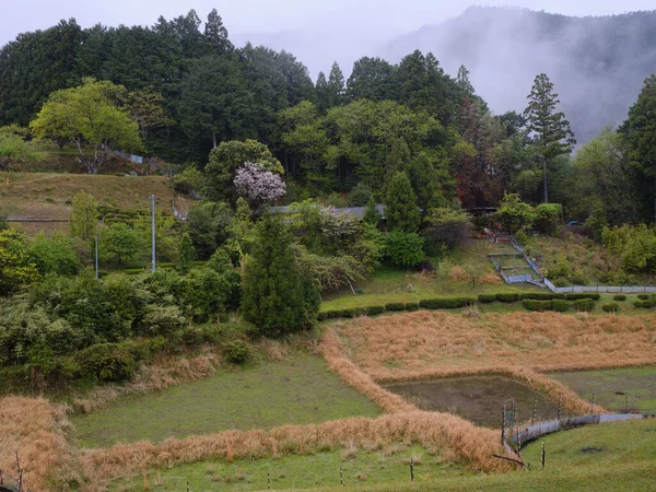 Wakayama的日本农村景观 — 图库照片