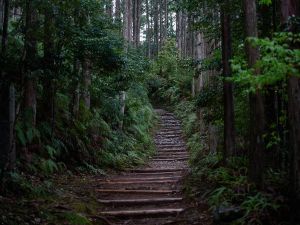 Kumano Kodo Wakayama Japón —  Fotos de Stock