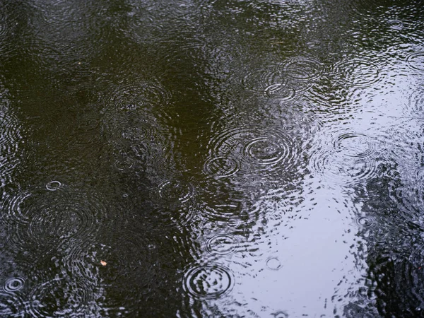 Raindrops Falling Puddle — Stock Photo, Image