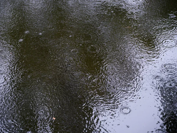 Raindrops Falling Puddle — Stock Photo, Image