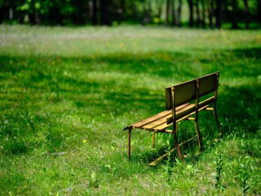 Yeşil parktaki sarı bankta 