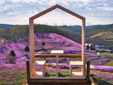 İlkbaharda hokkaido 'da yosun filizi