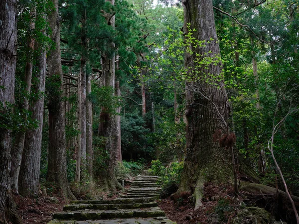 Kumano Kodo Wakayama Japón —  Fotos de Stock