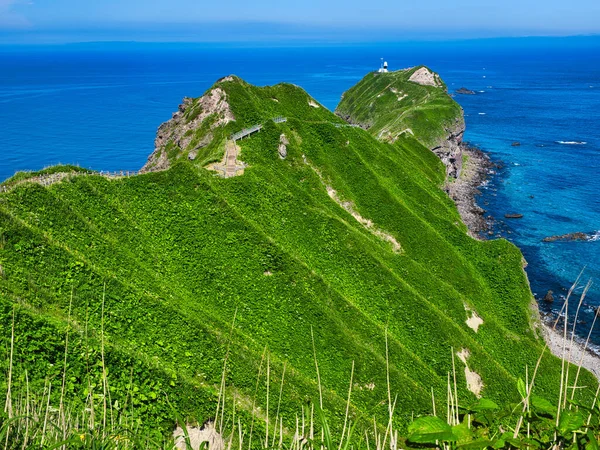 夏の北海道のカムイ岬 — ストック写真