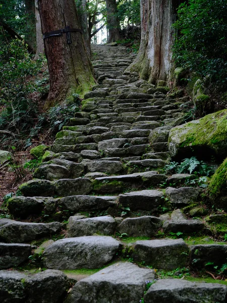 Kumano Kodo Wakayama Japonsko — Stock fotografie