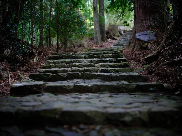 Kumano Kodo Wakayama Japón —  Fotos de Stock