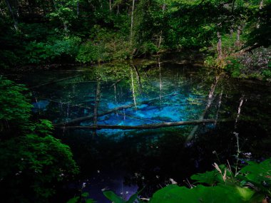 Hokkaido japan 'daki kaminoko göleti