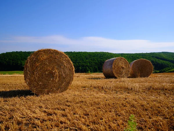 Fardo Palha Campo Trigo — Fotografia de Stock