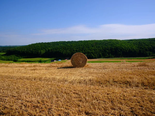 Szalmabála Búzamezőn — Stock Fotó