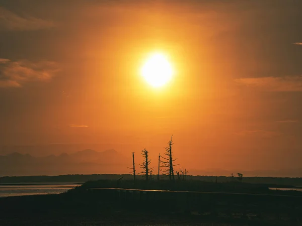 Árvores Mortas Pôr Sol Hokkaido — Fotografia de Stock