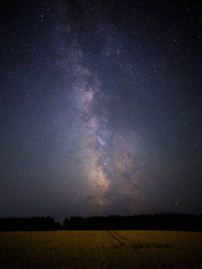 Samanyolu galaksisi ve buğday tarlası