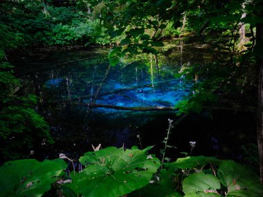 Hokkaido japan 'daki kaminoko göleti
