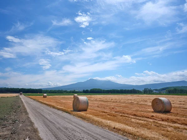 Campo Trigo Montanha Hokkaido — Fotografia de Stock