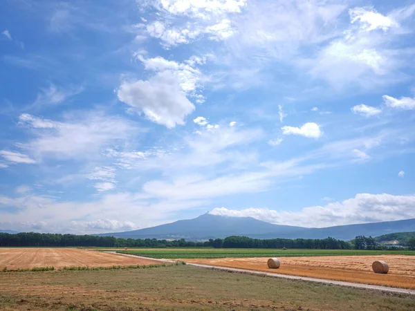 Campo Trigo Montanha Hokkaido — Fotografia de Stock
