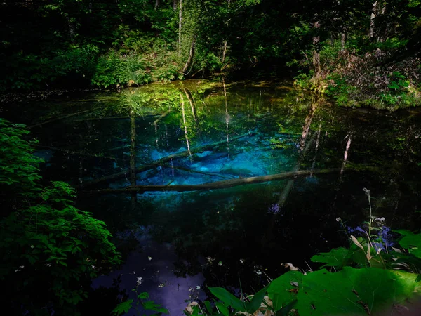 Hokkaido japan 'daki kaminoko göleti