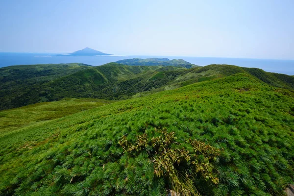 Hokkaido Daki Rebun Dağı Zirvesi — Stok fotoğraf