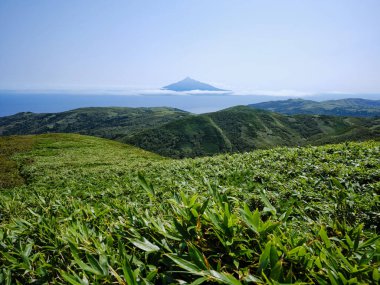 Hokkaido 'daki Rebun Dağı Zirvesi