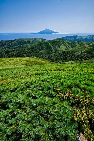 Szczyt Rebun Hokkaido — Zdjęcie stockowe