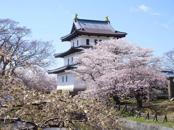 Castelo Matsumae Flores Cereja — Fotografia de Stock