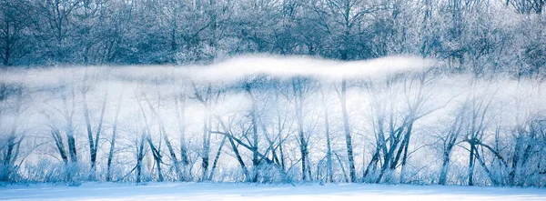 Холодный Туман Зимой Утром — стоковое фото