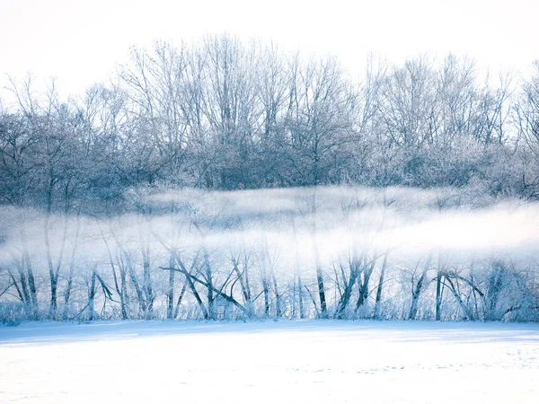 Холодний Туман Взимку Вранці — стокове фото