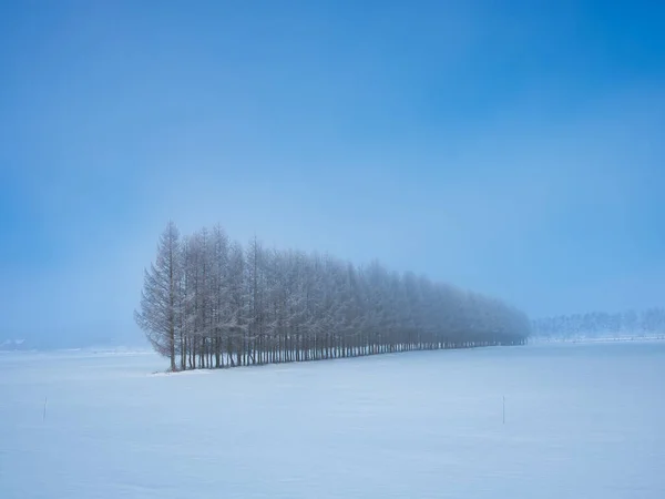 Koude Mist Winter Hokkadio — Stockfoto