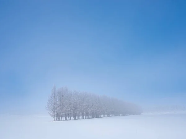 Холодный Туман Зимой Hokkadio — стоковое фото