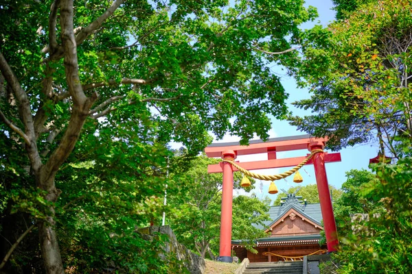 Ιαπωνικό Ιερό Και Πράσινο Δάσος — Φωτογραφία Αρχείου