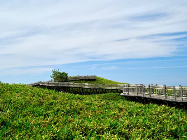 Shiretoko Nationalpark Hokkaido — Stockfoto