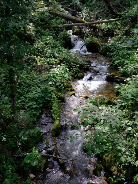 Pequeno Rio Shiretoko Hokkaido — Fotografia de Stock