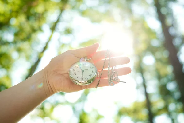 Hebben Een Zakhorloge Het Bos — Stockfoto