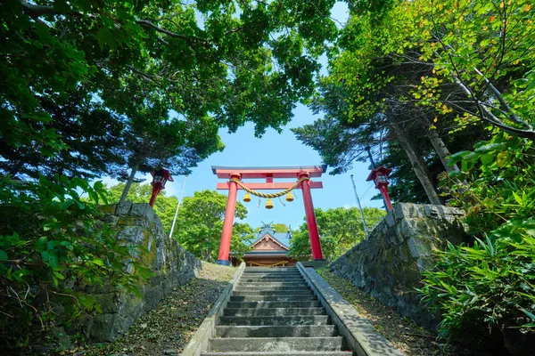 Santuario Giapponese Foresta Verde — Foto Stock