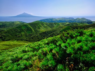 Hokkaido 'daki Rebun Dağı Zirvesi
