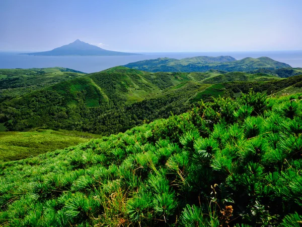 Cima Del Monte Rebun Hokkaido — Foto Stock