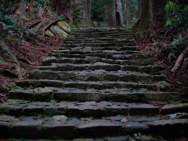 Escadas Pedra Wakayama Japão — Fotografia de Stock