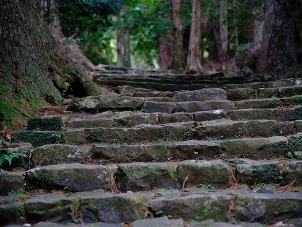 Каменная Лестница Японии Вакаяма — стоковое фото