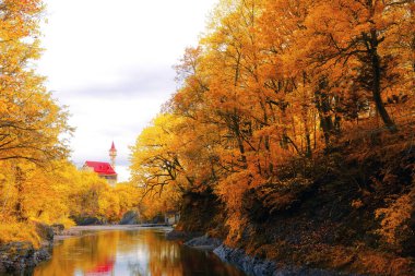 Kırmızı çatılı binalar ve sonbahar yaprakları