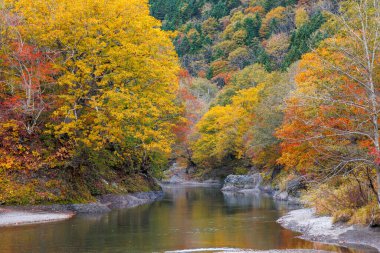 Kırmızı çatılı binalar ve sonbahar yaprakları