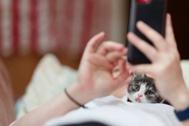 Evin sahibinin yanında kedi yavrusu var.