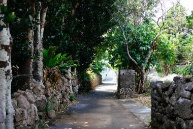 Ikei Adası 'ndaki Okinawa kasabası