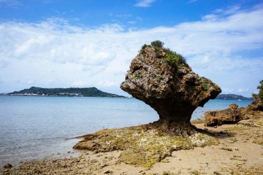 Okinawa 'daki Amamichu' nun mezarı.