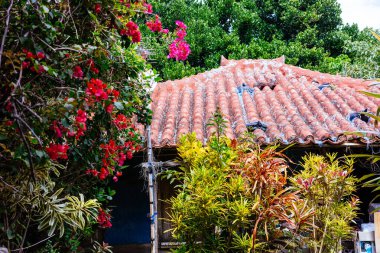 Okinawa 'da kırmızı kiremitli çatı