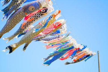 Japonya 'da sazan flaması