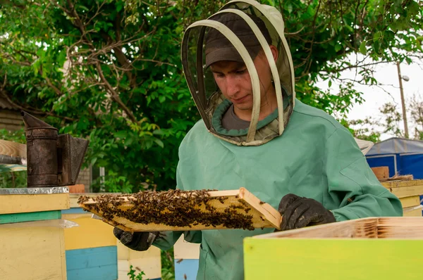 Apicultor sosteniendo panal con abejas — Foto de Stock