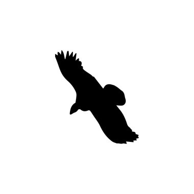 Condor kuş simgesi. Beyaz arka planda siyah simgesi.