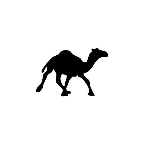 Ícone de camelo. Ícone preto no fundo branco . — Vetor de Stock