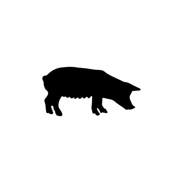 Schwein-Ikone. schwarzes Symbol auf weißem Hintergrund. — Stockvektor