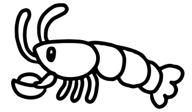 Deniz altı, akvaryum, okyanus, kartpostal, hayvanlar, hayvanat bahçesi, hediyelik eşya dükkanı, çizgi film karakteri, çizgi film karakteri, çizgi roman, peluş oyuncak, oyuncak bebek, çıkartması, deniz ürünleri, çocuk boyama kitabı.