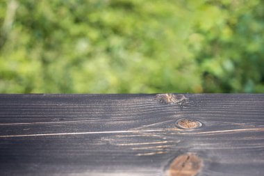 Bulanık yeşil arkaplanı olan ahşap bir yüzeye yakın plan. Tahtanın görünür tahıl desenleri ve doğal bir bitişi var.