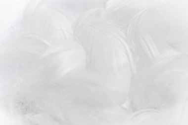 Yumuşak, beyaz tüylerden oluşan yakın plan bir model. Doku yumuşak ve hafif, dingin ve rahatlatıcı bir atmosfer yaratıyor..